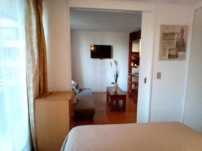 VIVIR EN SANTIAGO de un dormitorio